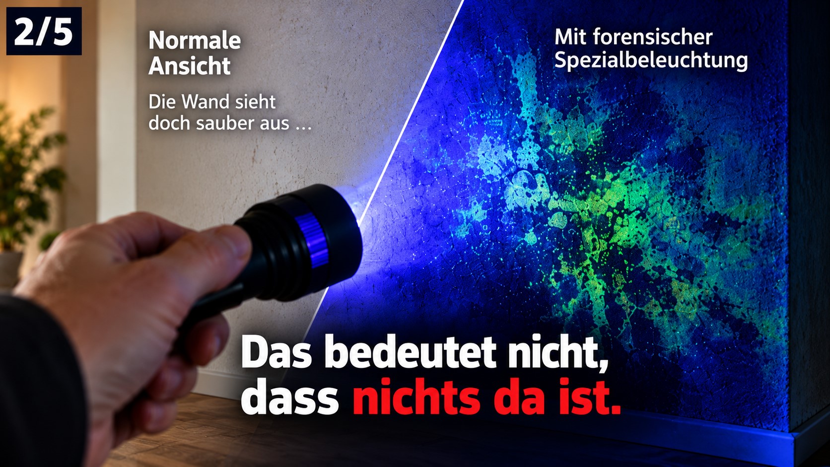Bauforensik